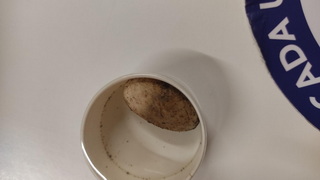 IMG 20260521 150342 resize